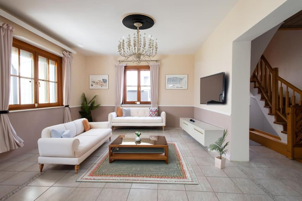 4-bedroom House & Large Garden Vienne